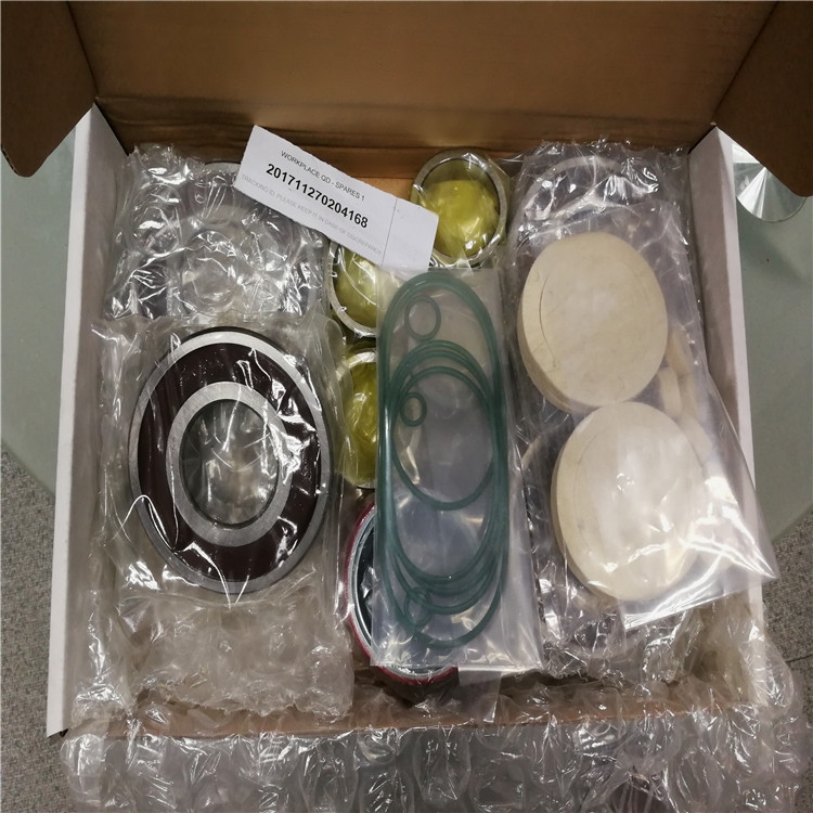 愛(ài)德華XDS10真空泵維修包代理商 維修
